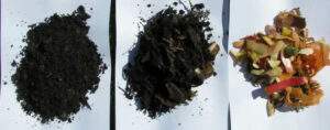 Muestras de residuos orgánicos para compostaje rápido, incluyendo compost y restos de comida.