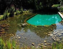 plantas purificadoras de agua