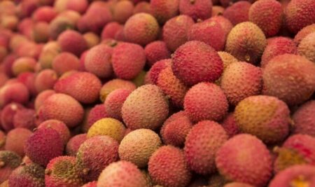 El genoma del lichi explica la historia de esta colorida fruta tropical