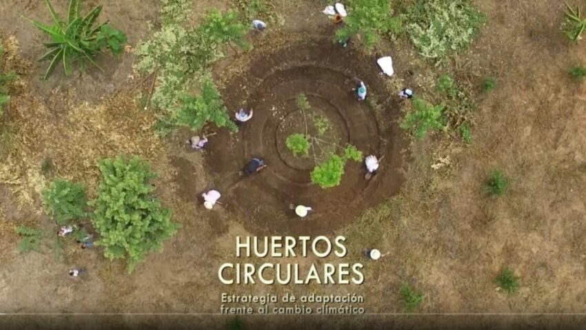 huertos circulares