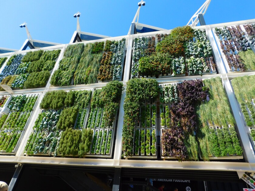 jardines verticales contra el calentamiento global