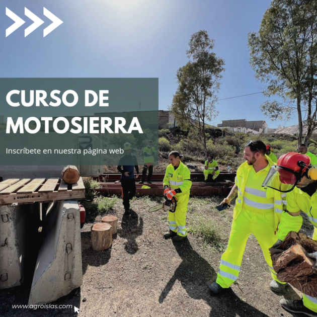Curso de motosierra en Canarias