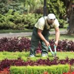Instalación y mantenimiento de jardines y zonas verdes
