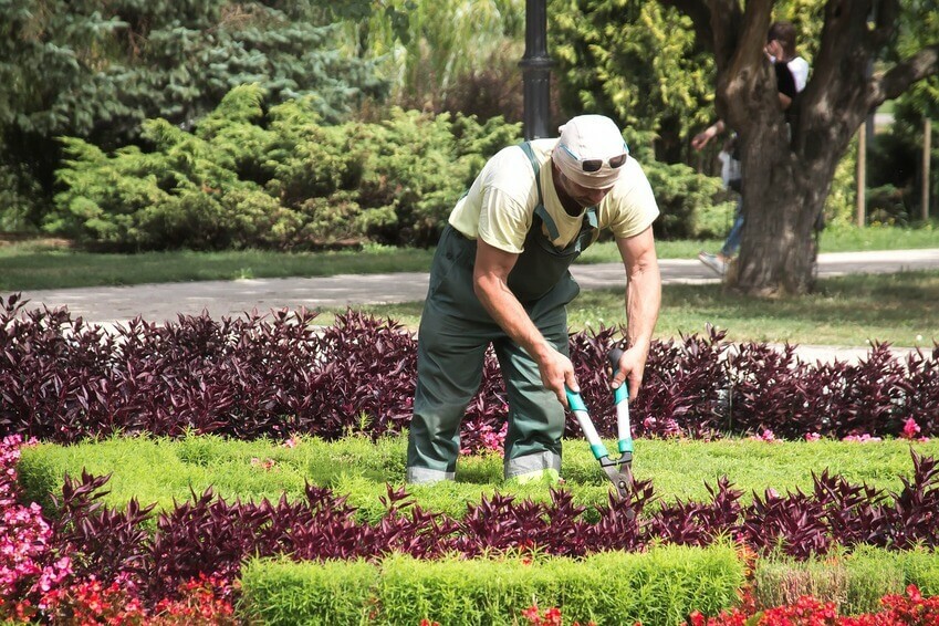 Instalación y mantenimiento de jardines y zonas verdes