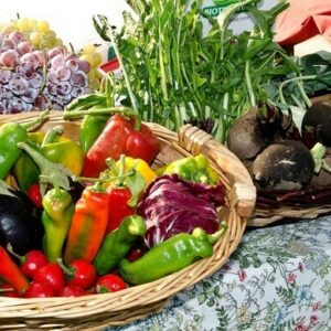 feria agrícola canarias