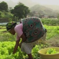 Asistencia técnica de la producción agrícola de Cabo Verde