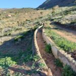 Foto de archivo de un proyecto de ingeniería agrónoma en Canarias