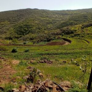 Agroislas se traslada hasta Las Meleguinas para realizar un proyecto de nueva infraestructura y acondicionamiento de terreno.