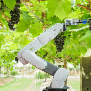 NUEVO USO DE ROBOTS AGRÍCOLAS PARA LA ELIMINACIÓN DE MALAS HIERBAS Y MALEZA EN CULTIVOS AGRÍCOLAS
