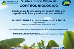 asprocan