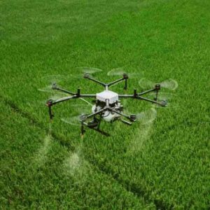 AYUDAS AL SECTOR AGROALIMENTARIO Y FORESTAL