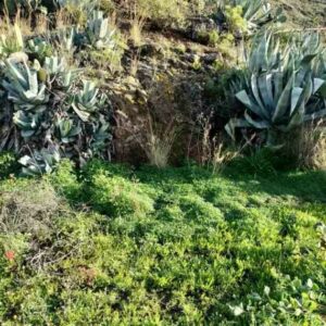 PROYECTO DE CONDUCCIÓN DE AGUA EN VALSEQUILLO