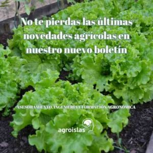 LAS ÚLTIMAS NOVEDADES EN NUESTRO BOLETÍN