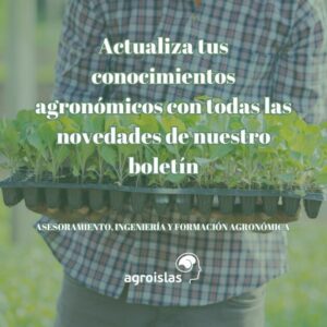 LAS ÚLTIMAS NOVEDADES EN NUESTRO BOLETÍN