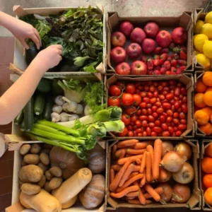 RÉCORD HISTÓRICO EN LAS EXPORTACIONES AGROALIMENTARIAS ESPAÑOLAS