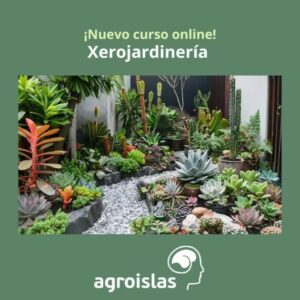 CURSO ONLINE DE XEROJARDINERÍA