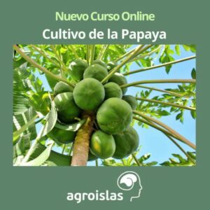 CURSO ONLINE DE CULTIVO DE LA PAPAYA