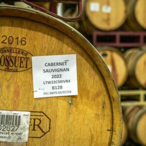 VIÑEDO Y BODEGA: LO ESENCIAL PARA SU ÉXITO