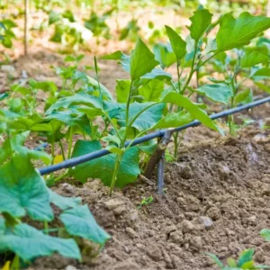 INSTALACIONES PARA EL RIEGO  AGRÍCOLAS