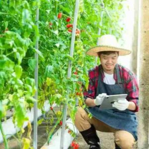 IMPULSO A LAS COOPERATIVAS AGROALIMENTARIAS