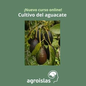 CURSO ONLINE DE CULTIVO DEL AGUACATE