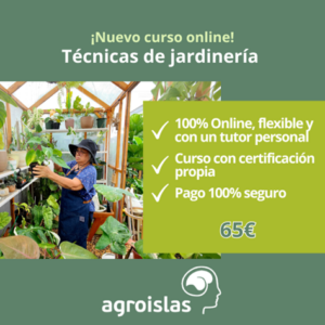 DISEÑA, CONSTRUYE Y MANTÉN JARDINES DE ENSUEÑO