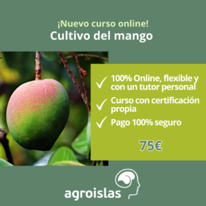 NUEVO CURSO ONLINE CULTIVO DEL MANGO