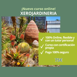 CURSO DE XEROJARDINERIA