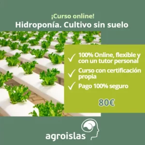 NUEVO CURSO DEL CULTIVO SIN SUELO