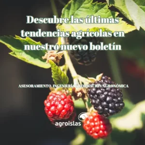 A LA VANGUARDIA EN AGRICULTURA CON AGROISLAS