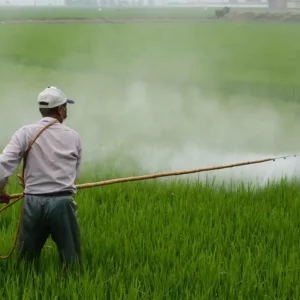 USO RESPONSABLE DE PESTICIDAS EN LA AGRICULTURA