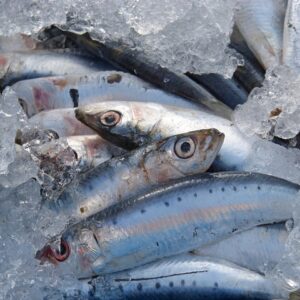 EL MINISTERIO DE AGRICULTURA AUMENTA UN 16% LA CUOTA DE SARDINA IBÉRICA PARA 2025