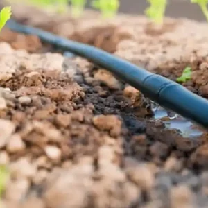 INNOVACIÓN EN LA INFRAESTRUCTURA DE RIEGO