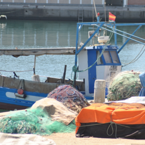 EL GOBIERNO MODIFICA LAS CUOTAS DE LA PESCA