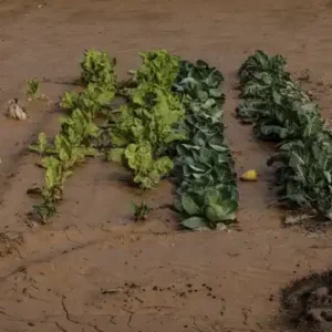 INVERSIÓN DE MÁS DE 10 MILLONES AL SECTOR AGRARIO