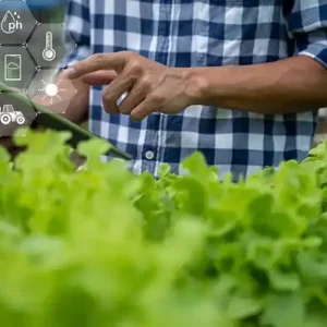 GESTIÓN DIGITAL EFICIENTE EN LA AGRICULTURA