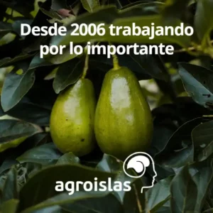 ¡DESDE 2006 TRABAJANDO POR LO IMPORTANTE!