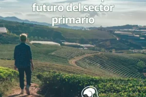 promoxpromo