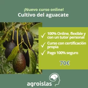CURSO 100 % ONLINE DE CULTIVO DEL AGUACATE