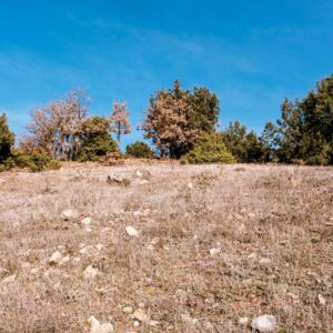 PROYECTO DE ACONDICIONAMIENTO DE FINCA AGRÍCOLA