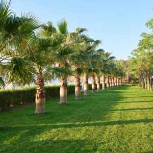 AGROISLAS, CONSULTORÍA AGRONÓMICA PARA HOTELES