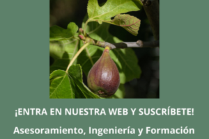 newletter semana 19.25