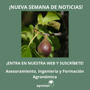 ¡PONTE AL DIA CON NOVEDADES DEL SECTOR!