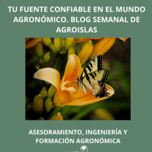 CONOCIMIENTO CULTIVADO CADA SEMANA