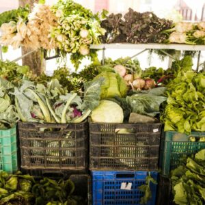 AGROISLAS APOYA A LA AGRICULTURA ECOLOGICA