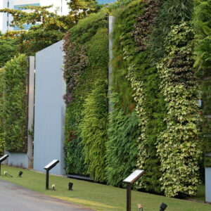 CURSO ONLINE: JARDINES VERTICALES