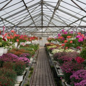 GRAN CANARIA IMPULSA LA PRODUCCIÓN ORNAMENTAL