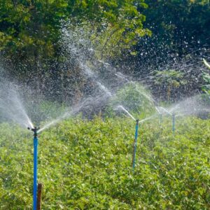 AGROISLAS, ASESORIA TENICA EN SISTEMA DE RIEGO