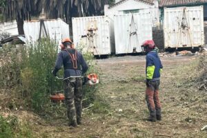 SEMANA 21.25. DESBRO