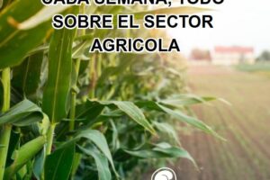 SEMANA 22.25 NEWSLETTER